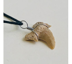 Žraločí zub - přívěsek Žraločí zub - přívěsek