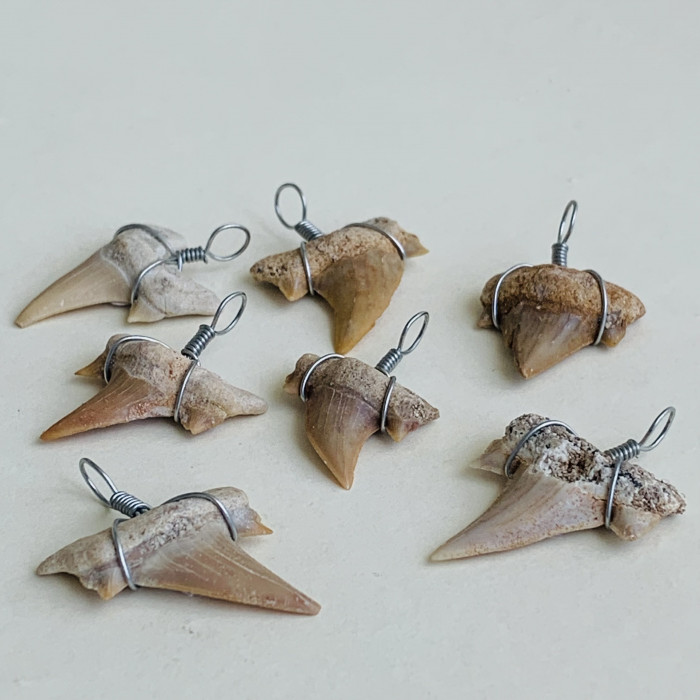 Žraločí zub - přívěsek Žraločí zub - přívěsek