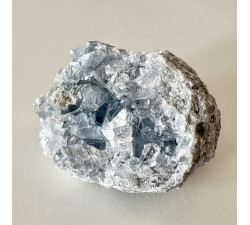 Celestýn drůza z Madagaskaru