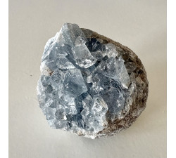 Celestýn drůza z Madagaskaru