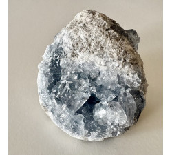 Celestýn drůza z Madagaskaru