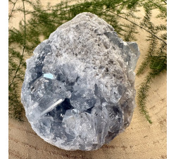 Celestýn drůza z Madagaskaru