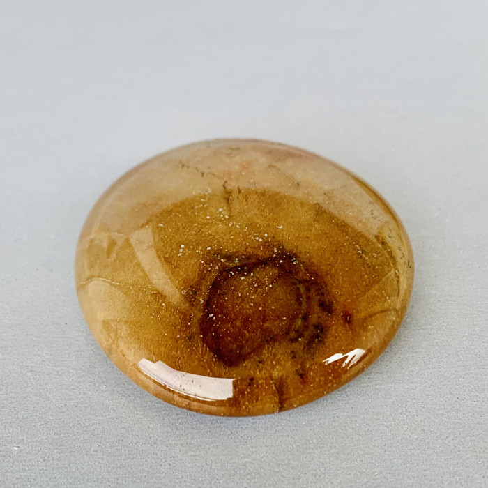 Araukarit - zkamenělé dřevo - hmatka