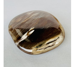 Araukarit - zkamenělé dřevo - hmatka